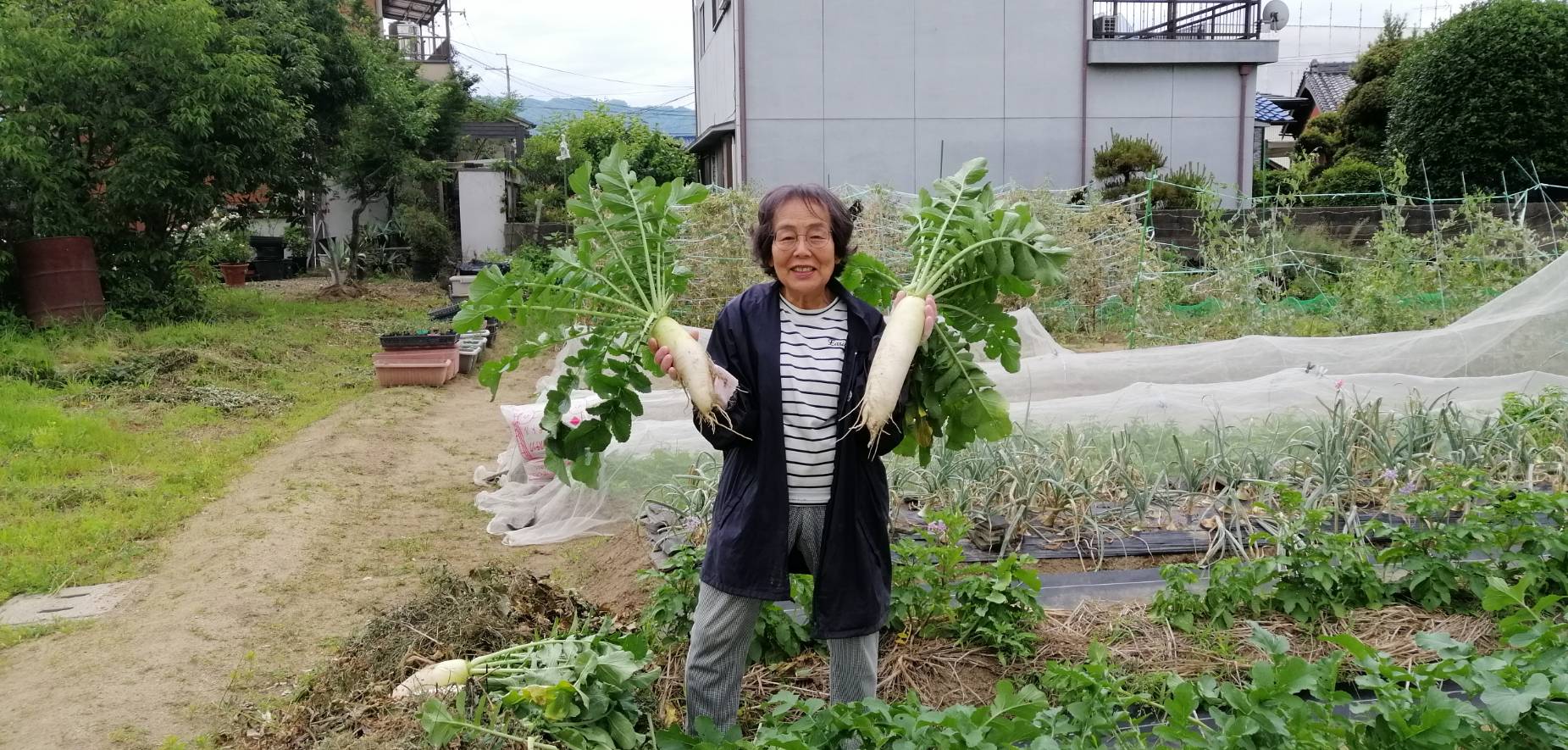 「夏野菜を植える」