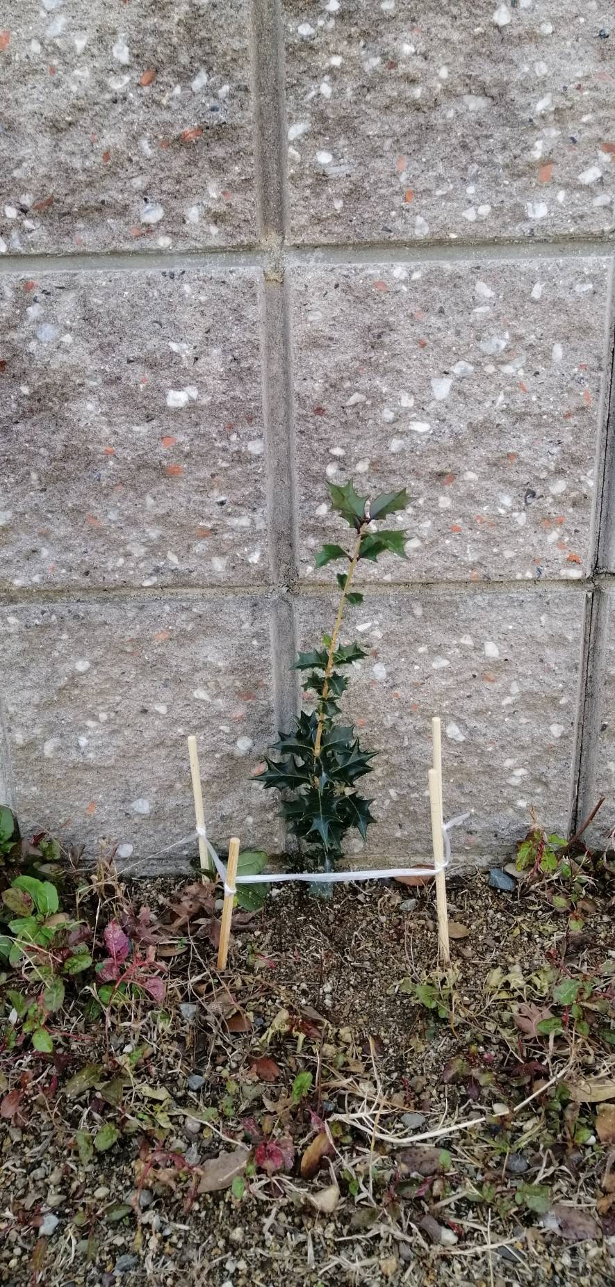 「実践の精度も上げる」